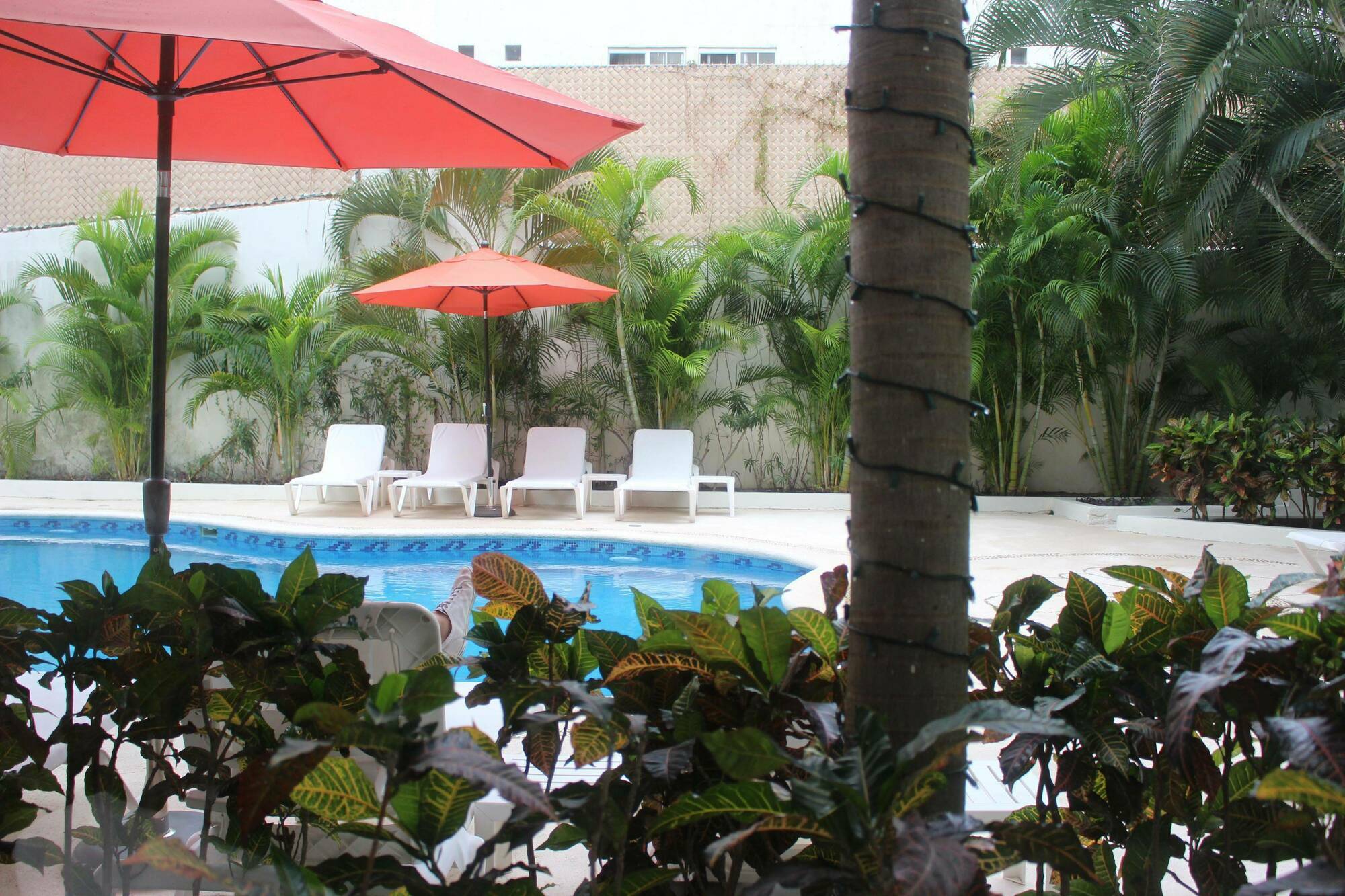 Adhara Express Hotel Cancún Eksteriør billede